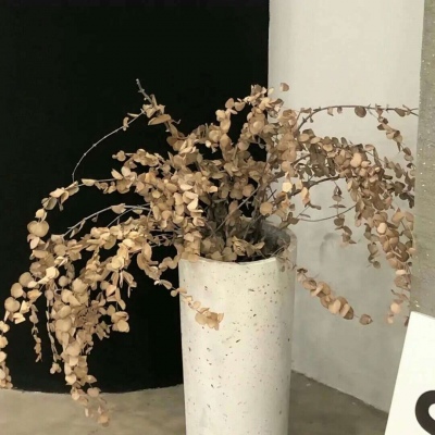 兽设色彩渐变技巧FurryQQ群